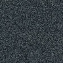 Shady Canyon Lasting Luxury  TEAL ZEAL LL_00347_Z6786
