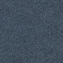 Shady Canyon Lasting Luxury  CORNFLOWER BLUE LL_00447_Z6786