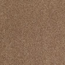 Shady Canyon Lasting Luxury  INDIAN SPICE LL_00654_Z6786