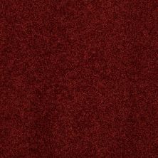 Shady Canyon Lasting Luxury  CRANBERRY LL_00665_Z6786
