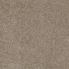 Shady Canyon Lasting Luxury  TUMBLED STONE LL_00753_Z6786