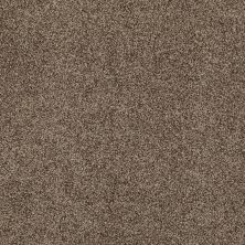 Shady Canyon Lasting Luxury  MALTED CRUNCH LL_00758_Z6786
