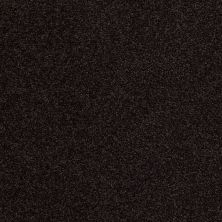 Shady Canyon Lasting Luxury  DARK ESPRESSO LL_00759_Z6786