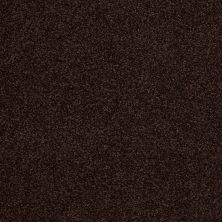 Shady Canyon Lasting Luxury  CHOCOLATE DROP LL_00777_Z6786