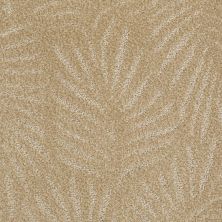 First In Class Lasting Luxury  AMBER GLOSS LL_00722_Z6798