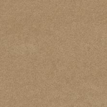 Serendipity I Lasting Luxury  CHAMOIS LL_00221_Z6814