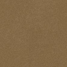 Serendipity I Lasting Luxury  TIGER EYE LL_00223_Z6814