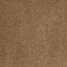Serendipity I Lasting Luxury  BRONZE GLOW LL_00727_Z6814