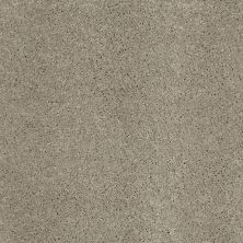 Fantasy Lasting Luxury  SATIN NICKEL X LL_00553_Z6853