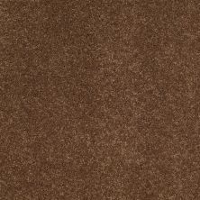 Fantasy Lasting Luxury  VINTAGE BROWN LL_00775_Z6853