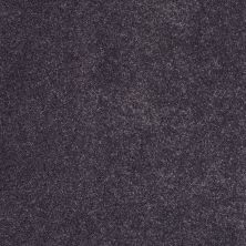 Fantasy Lasting Luxury  SOULFUL PURPLE LL_00996_Z6853
