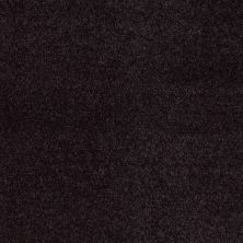 Fantasy Lasting Luxury  WILD PLUM LL_00999_Z6853