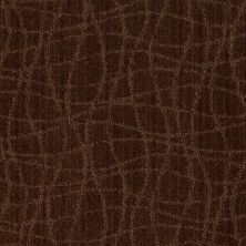 Twist Lasting Luxury  CATSKILL BROWN LL_00777_Z6869