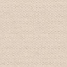Mar Vista Lasting Luxury  ALPINE LACE LL_00101_Z6899