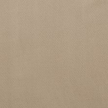 Mar Vista Lasting Luxury  SHY BEIGE LL_00112_Z6899