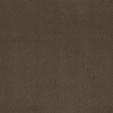 Mar Vista Lasting Luxury  CHOCOLATE CURL LL_00757_Z6899