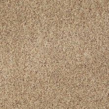 Serendipity II Berber Lasting Luxury  RAW SILK LL_0172B_Z6941