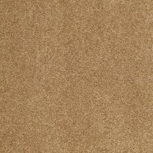 Serendipity II Lasting Luxury  TIGER EYE LL_00223_Z6942