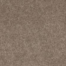 Serendipity II Lasting Luxury  SIMPLY TAUPE LL_00572_Z6942