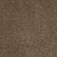 Serendipity II Lasting Luxury  VICUNA LL_00736_Z6942