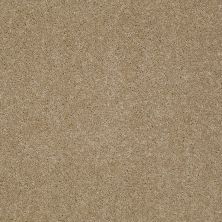 Cooper Lasting Luxury  PASSIVE TAN LL_00700_Z6944
