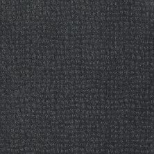 New Vibe Lasting Luxury  BLUE SAGE LL_00378_Z6957