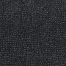 New Vibe Lasting Luxury  INDIGO LL_00446_Z6957