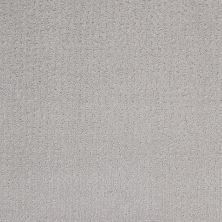 New Vibe Lasting Luxury  GRAY TINT LL_00532_Z6957