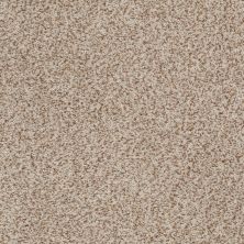 Palladio II Lasting Luxury  WHEAT LL_00212_ZZ002