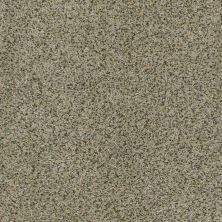 Palladio II Lasting Luxury  MISTY SAGE LL_00356_ZZ002