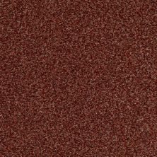 Palladio II Lasting Luxury  CINNABAR LL_00688_ZZ002