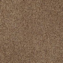 Palladio II Lasting Luxury  SANDSTORM LL_00756_ZZ002