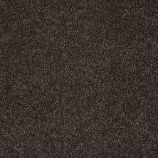 West Place I Lasting Luxury  COCOA BEAN LL_00778_ZZ003