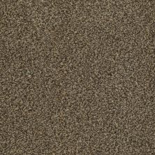 Venecia II Lasting Luxury  TAUPE LL_00728_ZZ004