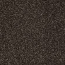 West Place II Lasting Luxury  COCOA BEAN LL_00778_ZZ005