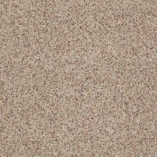 West Place II Lasting Luxury  TERRAZZO LL_0213B_ZZ005