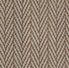Only Natural II Lasting Luxury  COPPER DUST LL_00677_ZZ010