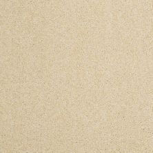 Hudson Falls Lasting Luxury  GENTLE YELLOW LL_00222_ZZ014