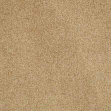 Hudson Falls Lasting Luxury  GOLD DUST LL_00225_ZZ014