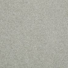 Hudson Falls Lasting Luxury  ANTIQUE SAGE LL_00313_ZZ014
