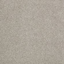 Hudson Falls Lasting Luxury  GRAY DUST LL_00522_ZZ014
