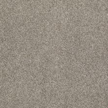 Hudson Falls Lasting Luxury  DEMURE TAUPE LL_00573_ZZ014