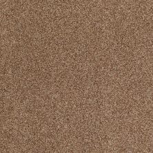 Hudson Falls Lasting Luxury  INDIAN SPICE LL_00654_ZZ014