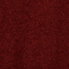 Hudson Falls Lasting Luxury  CRANBERRY LL_00665_ZZ014