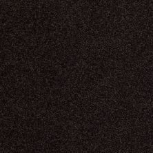 Hudson Falls Lasting Luxury  DARK ESPRESSO LL_00759_ZZ014