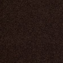 Hudson Falls Lasting Luxury  CHOCOLATE DROP LL_00777_ZZ014