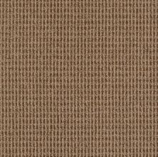 New Avenue Lasting Luxury  CARAMEL LL_00177_ZZ022
