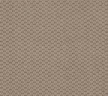 Cathedral Hill II Lasting Luxury  SMOKY PEARL LL_00154_ZZ040