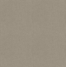 Cathedral Hill II Lasting Luxury  CEMENT LL_00512_ZZ040