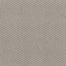 Cathedral Hill II Lasting Luxury  STYLISH GRAY LL_00552_ZZ040